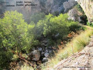 stoleone-31-08-2015 09-05-42